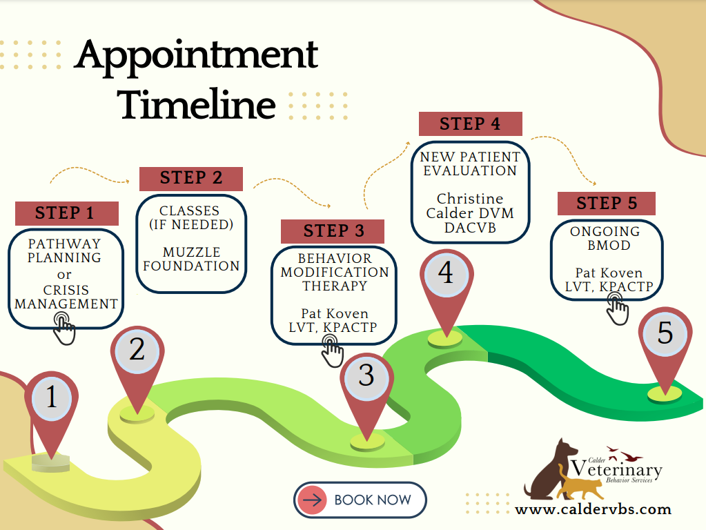 Appointment Timeline